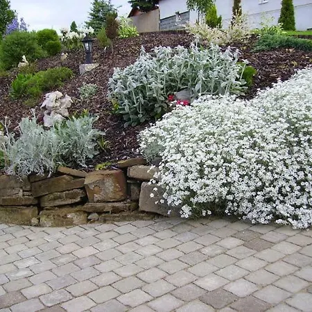 Studio Liptovsky Trnovec Privat bolig *