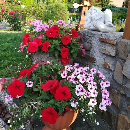 Pansiyon Studio Liptovsky Trnovec *