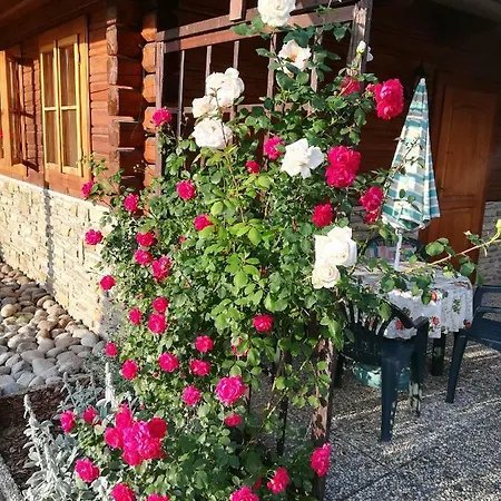 Studio Liptovsky Trnovec *